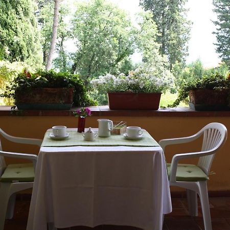 Villa "L'Unica " ルッカ エクステリア 写真