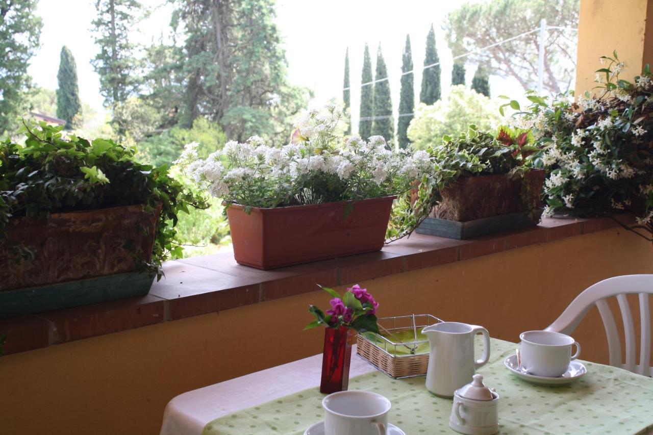 Villa "L'Unica " ルッカ エクステリア 写真