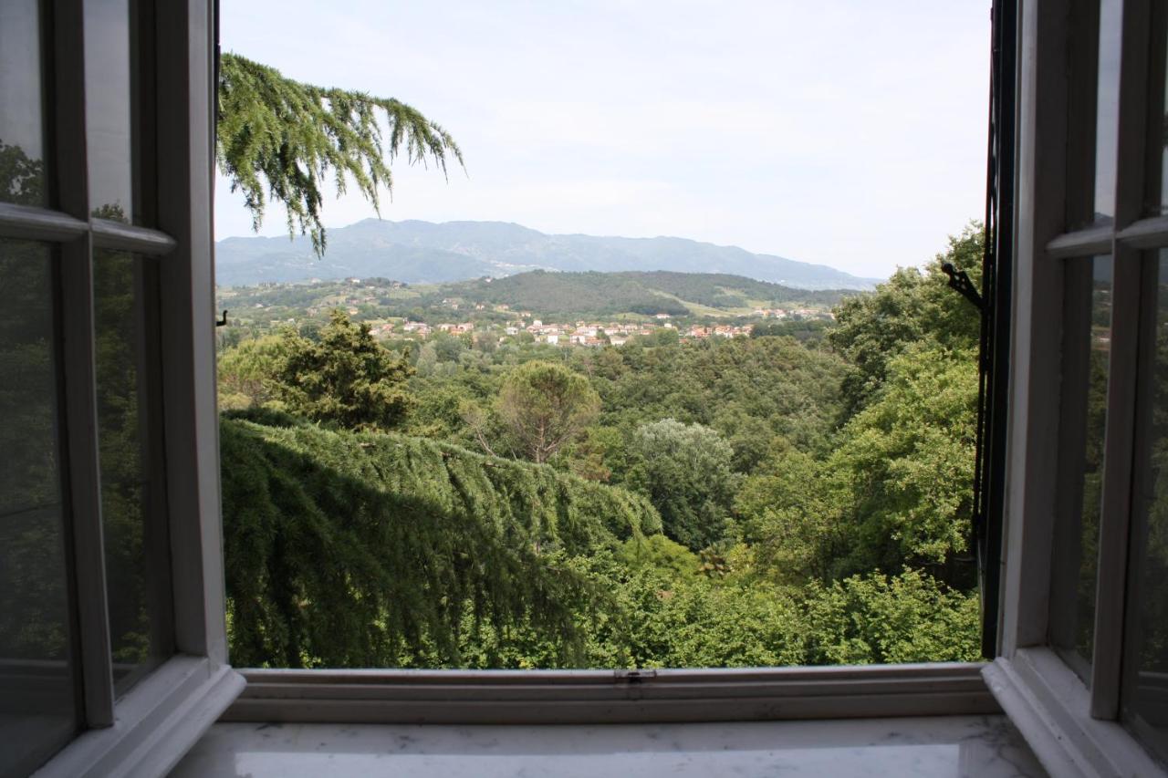 Villa "L'Unica " ルッカ エクステリア 写真