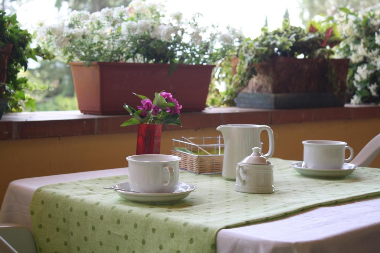 Villa "L'Unica " ルッカ エクステリア 写真